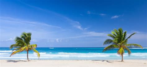 Bávaro Beach, Punta Cana - Book Tickets & Tours | GetYourGuide