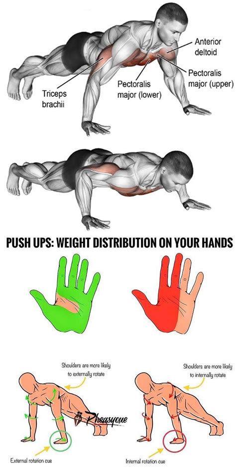 🚨PUSH UPS: TREATING YOUR HANDS | Push up workout, Push up, Workout plan gym