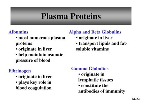 PPT - Chapter 14 Blood PowerPoint Presentation, free download - ID:6459913