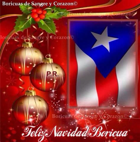 Navidad | Navidad, Navidad boricua, Luces de navidad