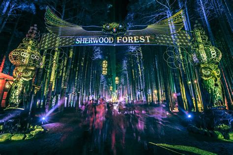 Welcome to Sherwood Forest. The wonderful weirdness of Electric Forest ...