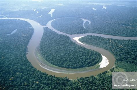 Aerial view of Amazon River, | Stock Photo