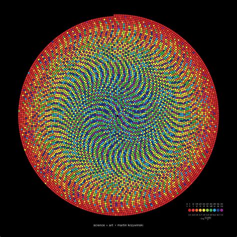 10000 Approximations of Pi Digital Art by Martin Krzywinski - Fine Art America