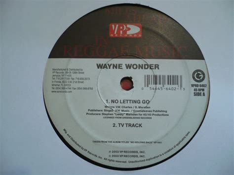 Wayne Wonder - No Letting Go (2003, Vinyl) | Discogs