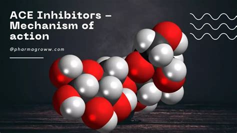 ACE Inhibitors Mechanism Of Action