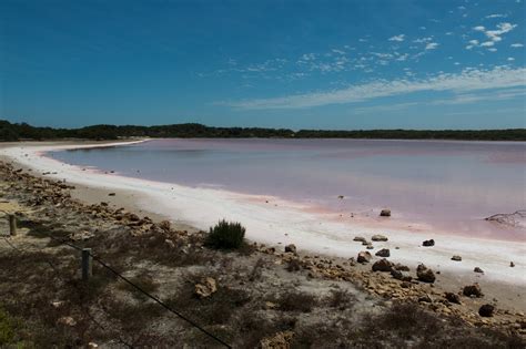 Day 28 Coorong National Park · Daerr.com · Underwater. Photo. Stories.