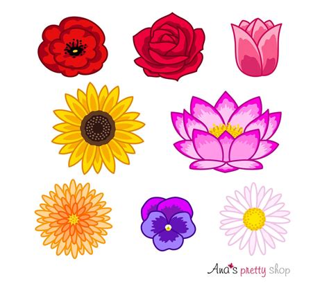 Silbermedaille Clipart Flowers