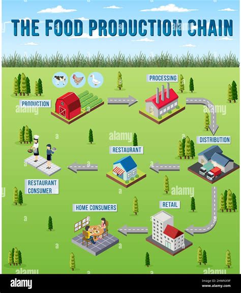 Diagram of supply chain management illustration Stock Vector Image & Art - Alamy