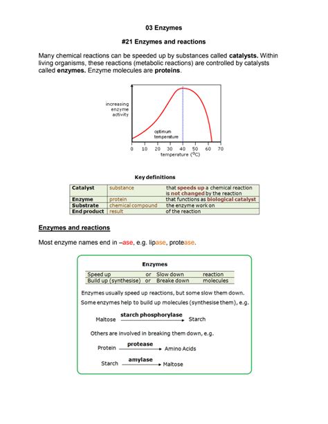 Enzymes Biology, Enzymes Activity, Biology Classroom, Biology Notes, Chemical Reactions, Slow ...