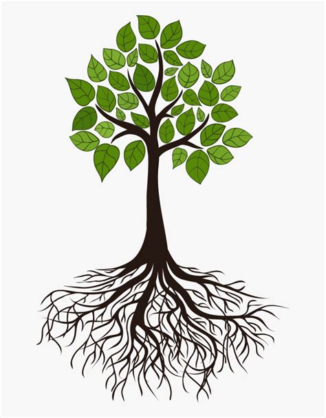 Tree Root Branch Clip Art - Tree Roots, HD Png Download , Transparent Png Image - PNGitem