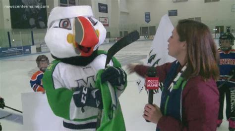 Meet Beacon the puffin, the new Maine Mariners mascot | newscentermaine.com