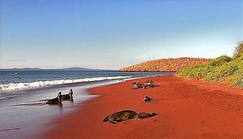 RED IRON SAND BEACHES OF GALAPAGOS SUSTAINS OCEAN REFUGIA AS GLOBAL BLUING WORSENS