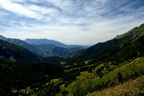 Obrazy : krajina, príroda, les, divokosť, vrch, neba, lúka, kopec ...