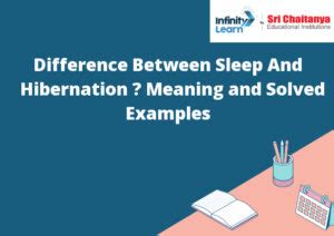 Difference Between Sleep And Hibernation – Meaning and Solved Examples - Infinity Learn by Sri ...