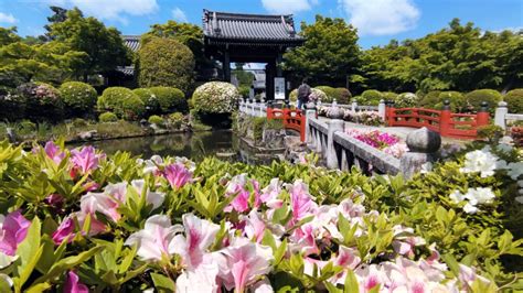 The 6 elements of Japanese pond garden.