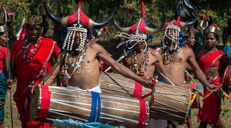 In pictures: Chhattisgarh’s tribal folk dance Gaur Maria inspired by ...