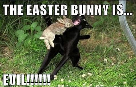 #christian Easter memes | Easter humor, Funny easter memes, Happy easter funny