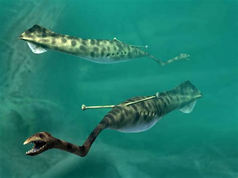 The mysterious ‘Tully Monster’ fossil just got more mysterious