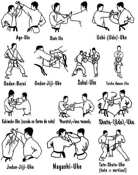 shotokan karate jka - Google Search Master Self-Defense to Protect ...