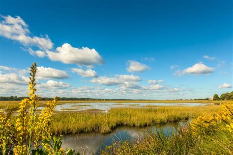 Discover Coastal Georgia: best experiences of the scenic barrier ...