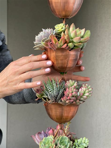 Copper Rain Chain Planted With Succulents – Succulent Artworks