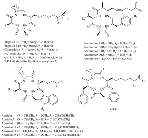 Examples of cyclic tetrapeptide HDACi. | Download Scientific Diagram