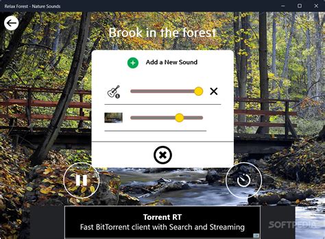 Relax Forest - Nature sounds 1.0.6.0 - Download, Review, Screenshots