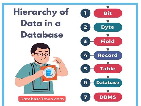 Hierarchy of Data in a Database (from Smallest to Largest Levels) - DatabaseTown