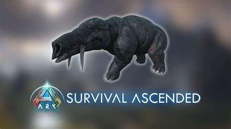 ARK Survival Ascended Phiomia taming guide