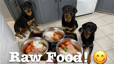 What Food Is Good For Rottweiler Puppies