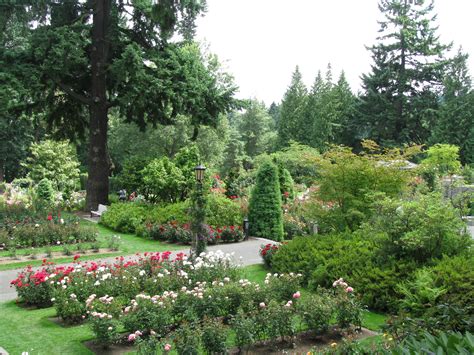 Portland Rose Garden Rose Garden, Portland, Places Ive Been, Golf Courses, Favorite Places ...