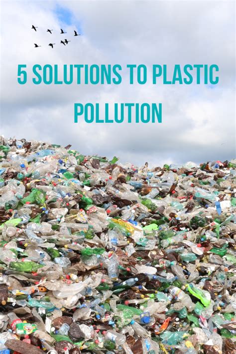 5 Solutions to Plastic Pollution | Contentopia | Plastic Pollution