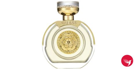 Bella Vita Guess perfume - a fragrance for women 2020