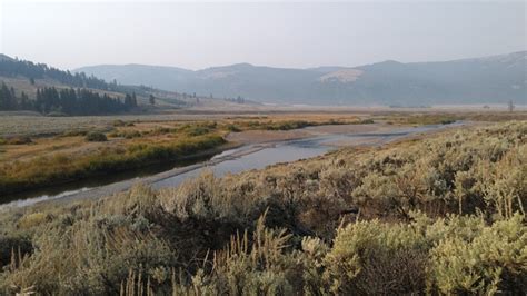 Lamar Valley - Hike the Lamar River Trail in Yellowstone National Park