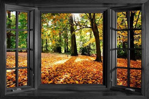 bay window autum | Details about 3D Effect Window Bay Autumn Forest Nature Sticker Wall ...