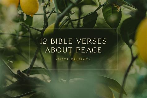 12 Bible Verses about Peace