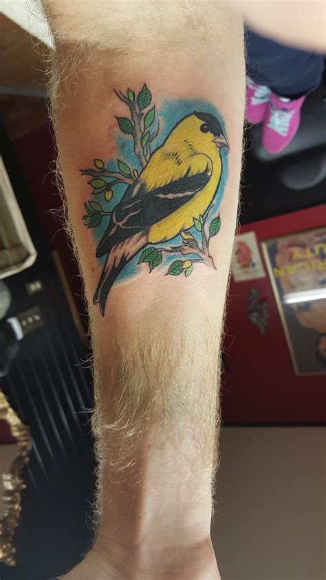 Washington Goldfinch by Kerry Linden Kent Washington | Finch tattoo ...