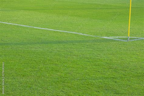 Empty football soccer field with white marks, green grass texture ...