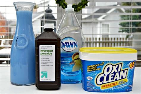 Homemade Carpet Cleaning Solution For Pet Stains | www.cintronbeveragegroup.com