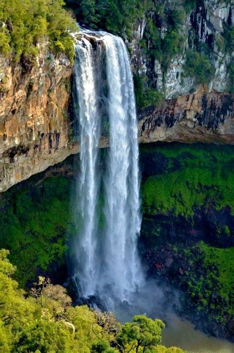 Paisagem Natureza Brasil - A vinda para o brasil, no final de 1923, repercute intensamente na ...