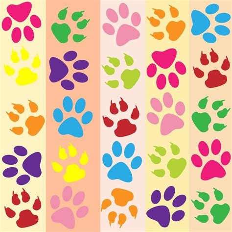 Paw Prints Colorful Wallpaper Free Stock Photo - Public Domain Pictures