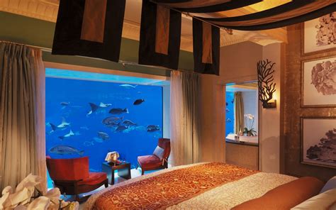 This is what a luxurious, underwater hotel suite looks like | Fortune