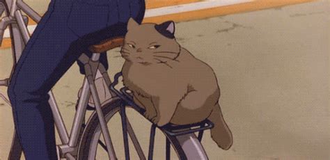 New trending GIF tagged cat anime side eye… | Trending Gifs