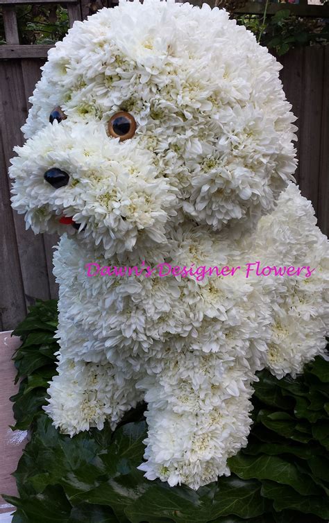 dog flower arrangement for funeral - Perch Blook Photo Exhibition