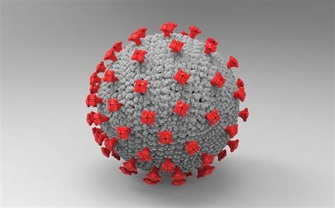 Coronavirus 3D model | CGTrader