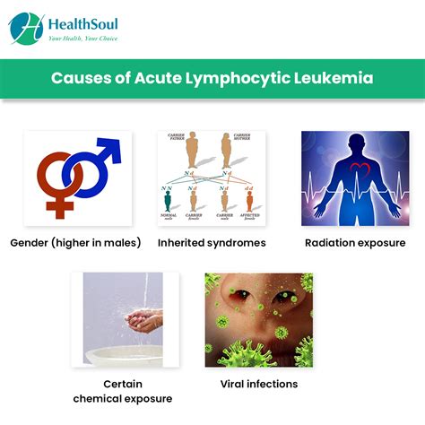 Acute Lymphocytic Leukemia: Symptoms and Treatment | Hematology ...