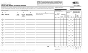 16 Printable cal osha form 300a Templates - Fillable Samples in PDF, Word to Download | PDFfiller