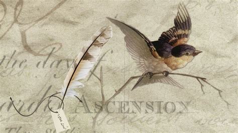 🔥 [50+] Vintage Bird Wallpapers | WallpaperSafari