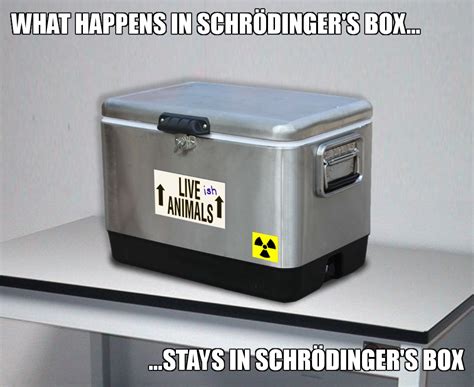 Tree Lobsters!: What Happens In Schrödinger's Box...