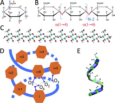 Structure of α-d-glucose as a single monomer and in polymer ...